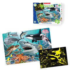 Puzzle Doubles! Glow in the Dark Sea Life