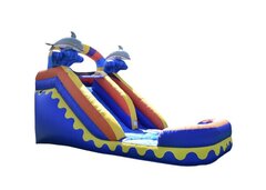 Dolphin Splash Xtreme 15 FT