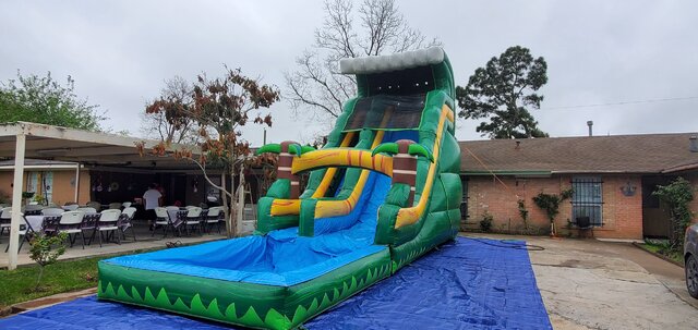 Palm Tree Single Lane 20 Ft. Water Slide