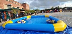 Paddle Boats and Pool