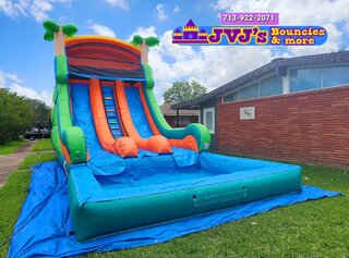 20ft high Double Lane Tropical Water Slide