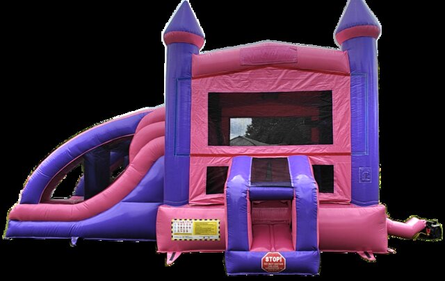 Princess Castle Dual Lane