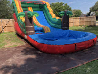 Palm tree Waterslide