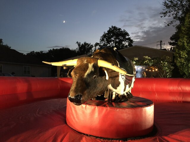 Mechanical Bull