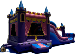 Princess Castle Combo (Wet or Dry)