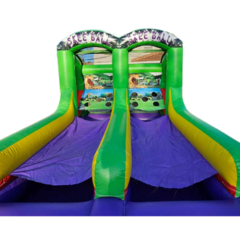 Skee Ball Game