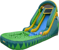 14ft Tropical Tsunami Dry Slide