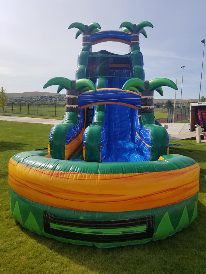 22ft water or dry slide in a tropical theme