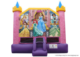Bounce House, Disney Princess