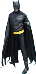 Batman Parody