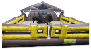 Mechanical Bull Ride