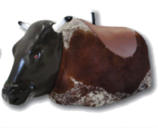 Mechanical Bull Events Mechanical Bull Events