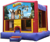 Madagascar Bouncer Madagascar Bouncer