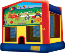 Kitty and Puppy Fun Bouncer Kitty and Puppy Fun Bouncer