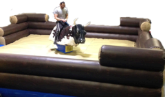 Mechanical Bull 3 Hour Event Mechanical Bull 3 Hour Event