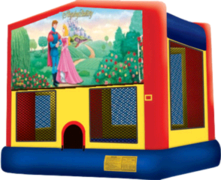 Sleeping Beauty Bouncer Sleeping Beauty Bouncer