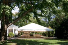 Frame Tent 20 x 20 Grass set up Frame Tent 20 x 20 Grass set up