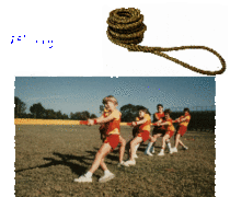 Tug of War Rope Tug of War Rope