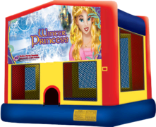 Winter Princess Bouncer Winter Princess Bouncer