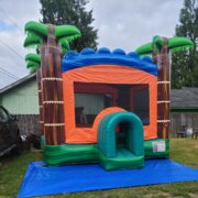 Classic Bounce House Rentals