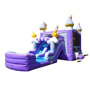 Bounce House with Dual Lane Slide Rentals Wet or Dry