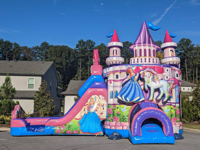Princess Castle Combo  (wet or dry) 
