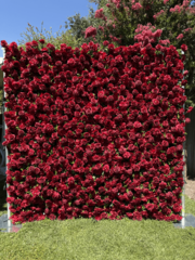 Red Rose 