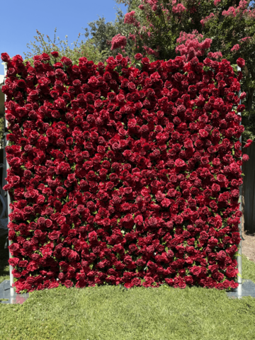 Red Rose 