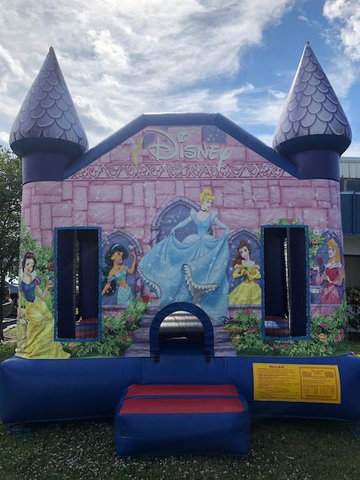 Disney Princess Castle 