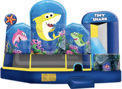 bounce house rental Illinois 5in1