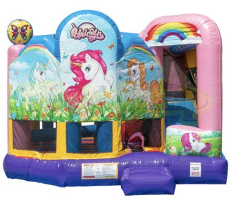 Inflatable Bounce House Rentals In Bensenville