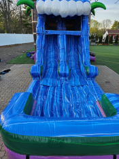 bounce house Rentals In Wheaton 