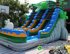 Water Slides