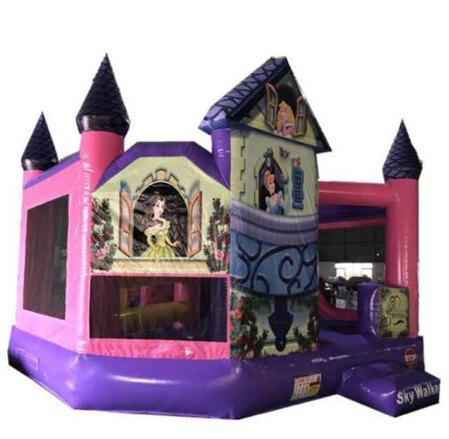 5 N 1 Princess Disney Combo