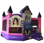 5 N 1 Princess Disney Combo