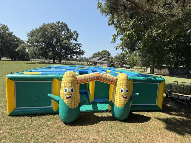Corn Maze