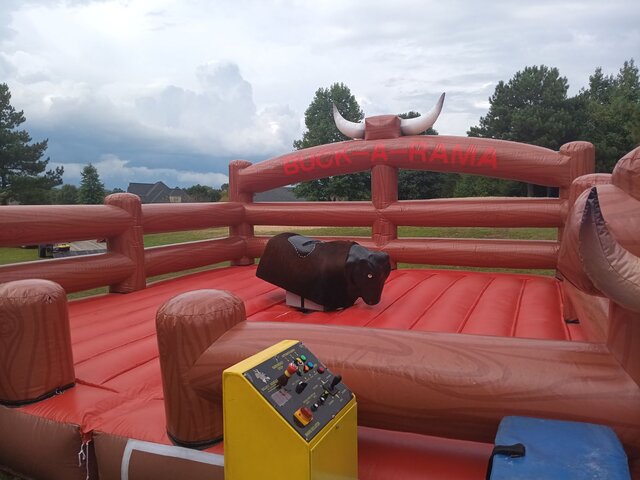 Mechanical Bull