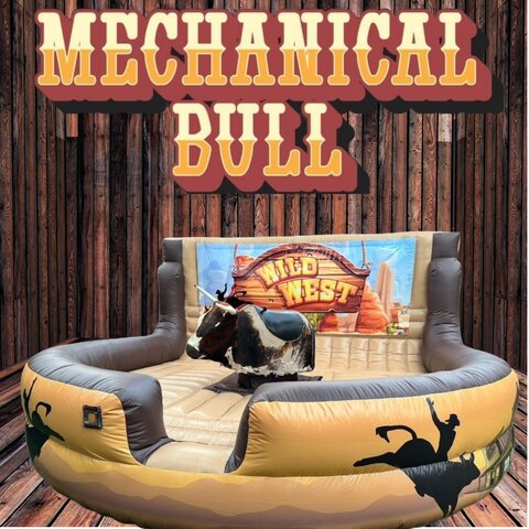 Mechanical Bull