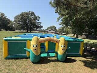 Corn Maze