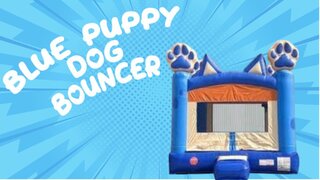 Blue Puppy Dog Bouncer