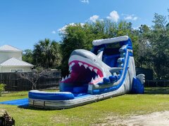 20ft Jawsome Dual lane slide W/Pool