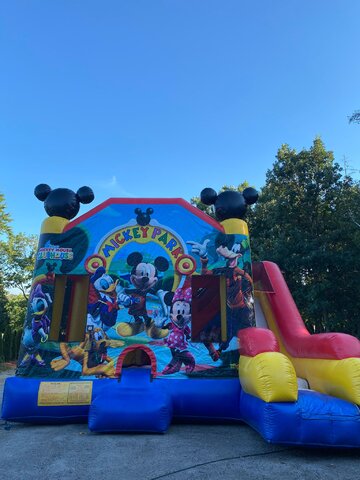 Mickey-Park-Whit-Slide-Unit-54