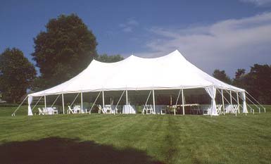 Pole-Tent-40 -x-60 