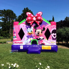 Minnie Mouse with slide   Unit 25