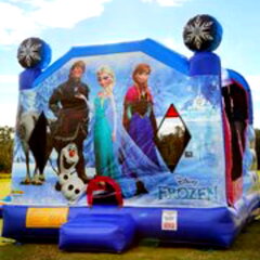 Frozen with slide Unit 24