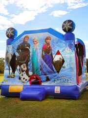 Frozen with slide Unit 24