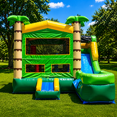 Palm tree with pool, wet and dry  Unit 43
