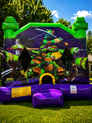 Ninja Turtles with slide Unit 27