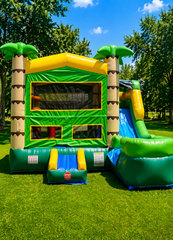 Palm tree with pool, wet and dry  Unit 43