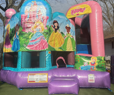  Princess With  Dry Slide and Basketball Hoop Unit 200